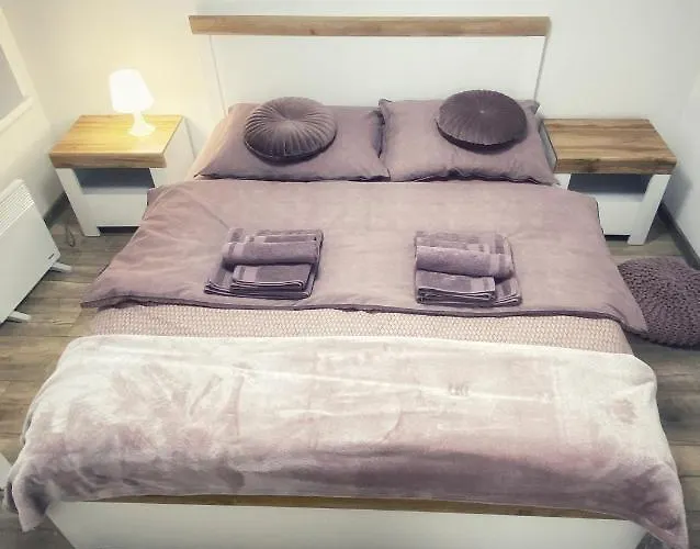 Komfortowe Apartamenty W Kamienicach - Sercu Miasta Dusznik Zdroju